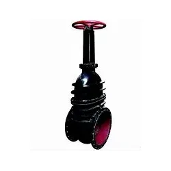 Van cổng mặt bích Cast Iron Rising