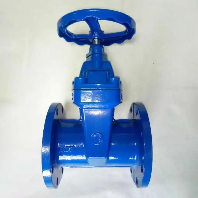 Van mặt phẳng mặt bích được che giấu bằng sắt Ductive Iron