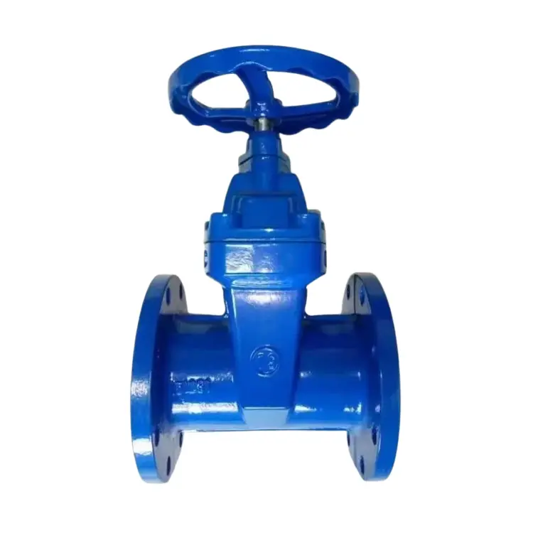 Van mặt phẳng mặt bích được che giấu bằng sắt Ductive Iron