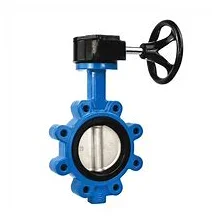 LT Hướng dẫn sử dụng Van bướm Bướm SEAL với tai nhô ra